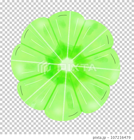 abstract green leaf with pattern abstract green leaf with pattern 107216479