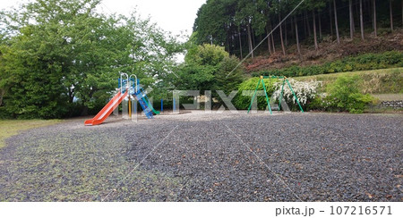 森の中の公園 107216571