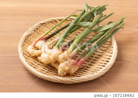 新生姜 生姜 新生姜 生姜 107216662