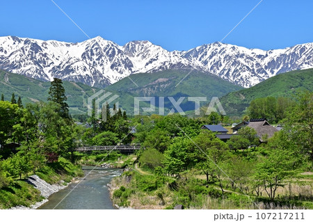 初夏を迎えた大出の吊橋と残雪の白馬三山 初夏を迎えた大出の吊橋と残雪の白馬三山 107217211