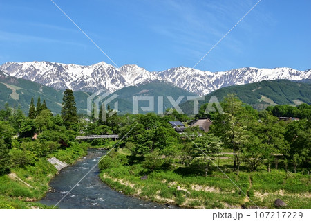 初夏を迎えた大出の吊橋と残雪の白馬三山 初夏を迎えた大出の吊橋と残雪の白馬三山 107217229