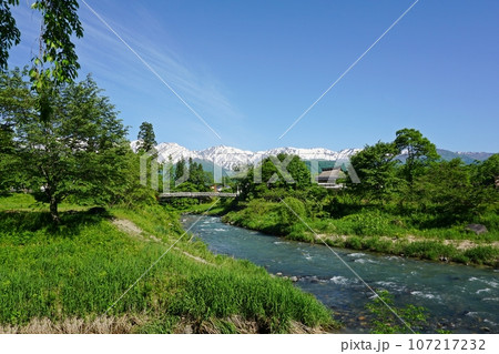 初夏を迎えた大出の吊橋と残雪の白馬三山 107217232