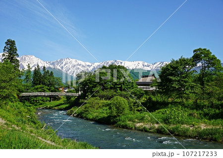 初夏を迎えた大出の吊橋と残雪の白馬三山 107217233