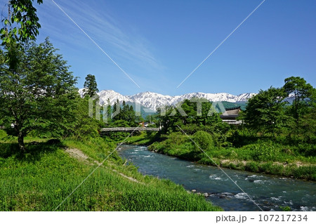 初夏を迎えた大出の吊橋と残雪の白馬三山 初夏を迎えた大出の吊橋と残雪の白馬三山 107217234