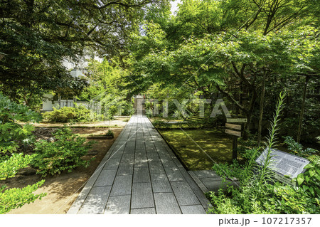 山代温泉 薬王院温泉寺 境内 石川県加賀市 山代温泉 薬王院温泉寺 境内 石川県加賀市 107217357