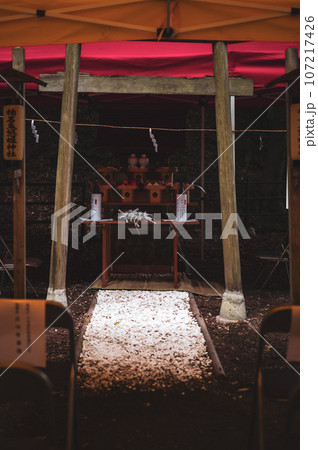 七夕祭り短冊のお焚き上げ きぬ姫神社の写真素材 [107217426] - PIXTA