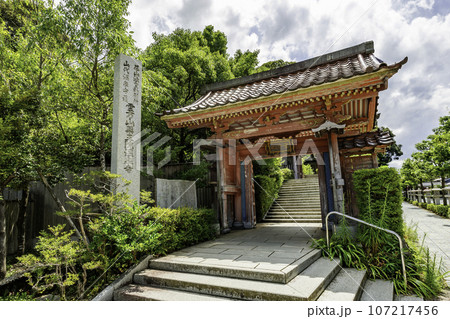 山代温泉 薬王院温泉寺 山門 石川県加賀市 山代温泉 薬王院温泉寺 山門 石川県加賀市 107217456