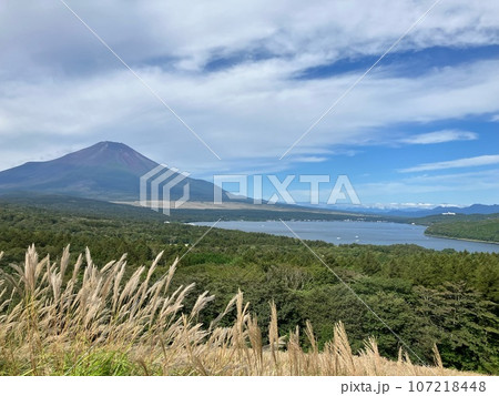 富士山 山中湖パノラマ展望台9月② 富士山 山中湖パノラマ展望台9月② 107218448