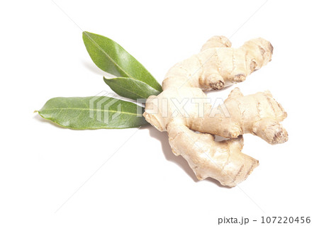 Fresh ginger with leaves isolated on white background Fresh ginger with leaves isolated on white background 107220456
