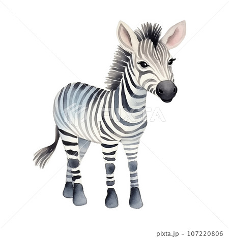 Watercolor cute zebra isolated on white background. 107220806
