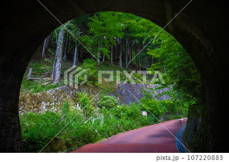 トンネルからの景色(東京都西多摩郡檜原村) トンネルからの景色(東京都西多摩郡檜原村) 107220883