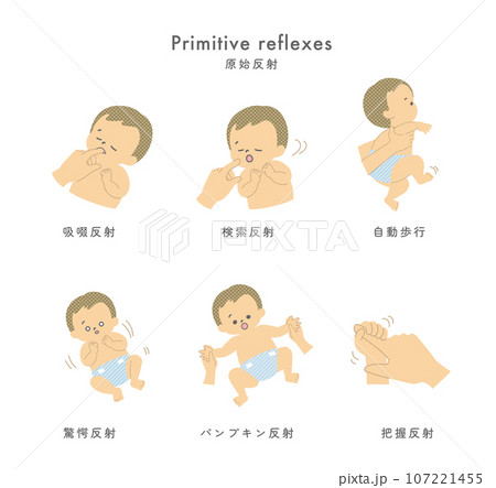 イラスト素材: 原始反射 セット 107221455