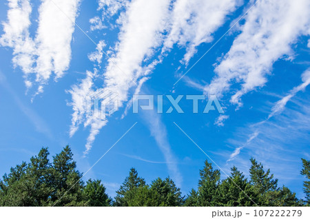 爽やかな青空と新緑の森 爽やかな青空と新緑の森 107222279
