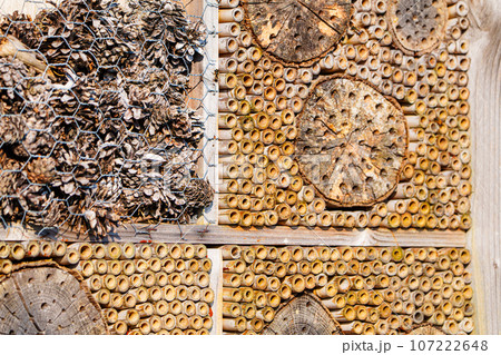 An Inviting Haven for Insects, Exploring the Fascinating World of the Insect Hotel. 107222648