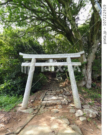 四国最大の古墳・富田茶臼山古墳 【香川県さぬき市】 107222919