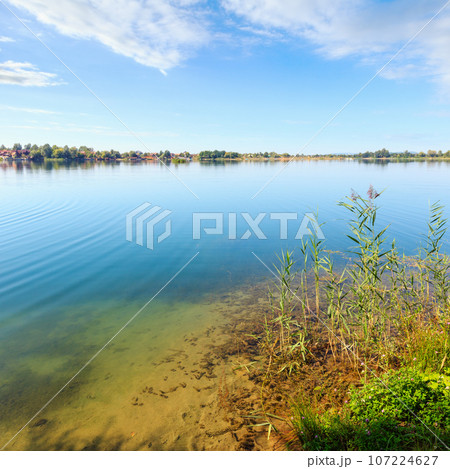 Summer lake calm rushy shore. 107224627
