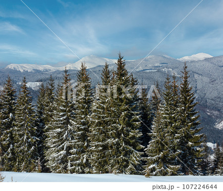 Winter snowy Carpathian mountains, Ukraine Winter snowy Carpathian mountains, Ukraine 107224644