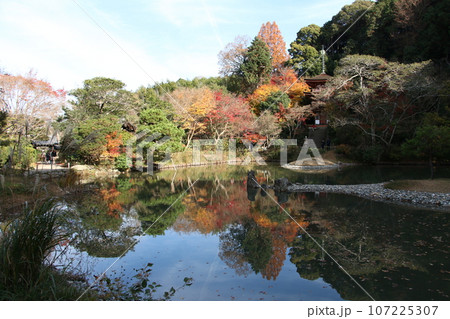 秋の浄瑠璃寺浄土式庭園 107225307
