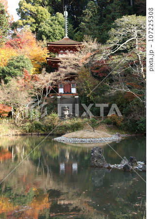 秋の浄瑠璃寺浄土式庭園 秋の浄瑠璃寺浄土式庭園 107225308