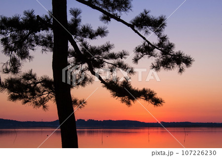 涸沼と木のある夕景 107226230