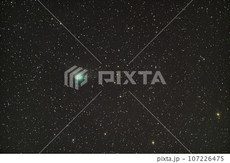ZTF彗星 2023・1/29 ZTF彗星 2023・1/29 107226475