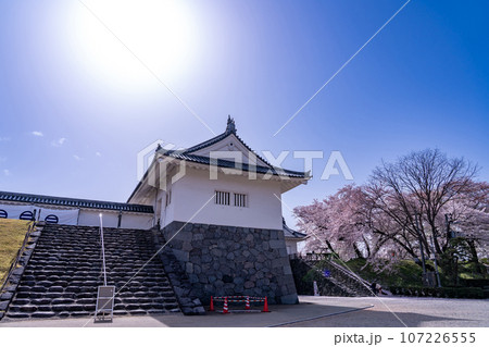 山形県霞城公園内の山形城址東大手門と桜 107226555