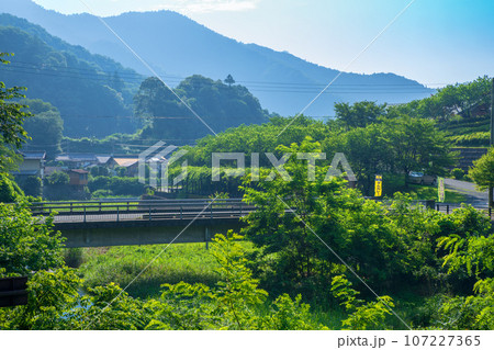 合角ダム下 吉田元気村付近 真夏の風景 秩父市上吉田 合角ダム下 吉田元気村付近 真夏の風景 秩父市上吉田 107227365