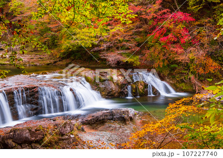 秋の浅布渓谷：不動の滝 107227740