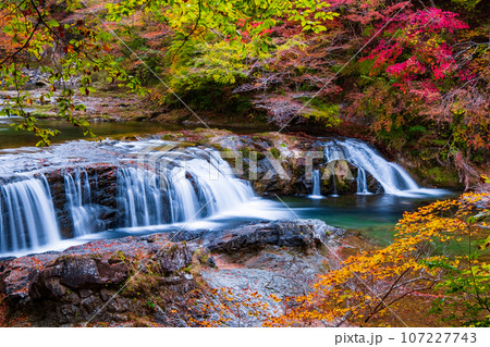 秋の浅布渓谷：不動の滝 107227743