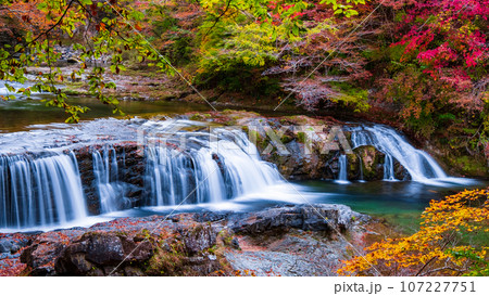 秋の浅布渓谷：不動の滝 107227751