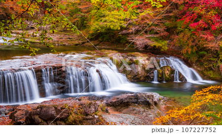 秋の浅布渓谷：不動の滝 107227752