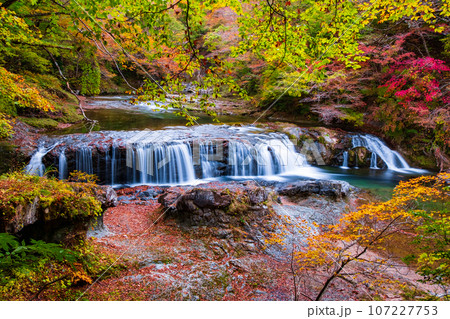 秋の浅布渓谷：不動の滝 107227753