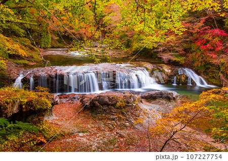 秋の浅布渓谷：不動の滝 107227754