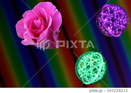 紅い薔薇 花びら 紅い薔薇 花びら 107228213