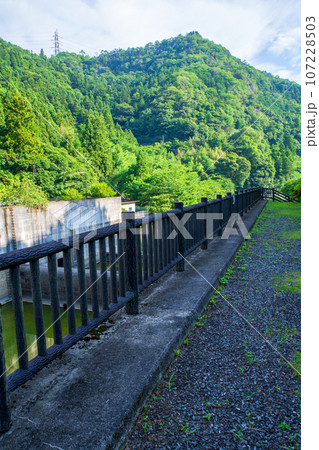 合角ダム下　真夏の風景　秩父市上吉田 107228503