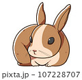 丸まっている茶色のうさぎ 107228707