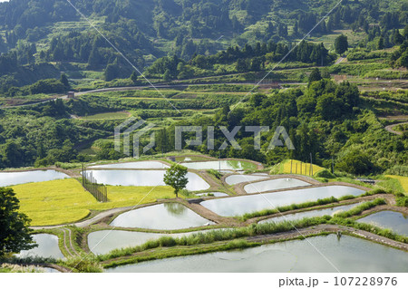 山古志村の風景 107228976
