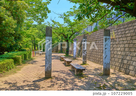 新緑の東京都稲城市東長沼の七曲見晴児童公園 107229005