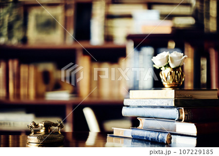 シックな書斎イメージ,generative ai シックな書斎イメージ,generative ai 107229185