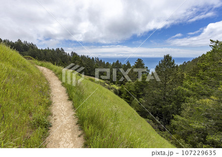 Hiking trail from Stinson beach crossing hill 107229635