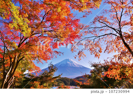 秋の紅葉と富士山 107230994