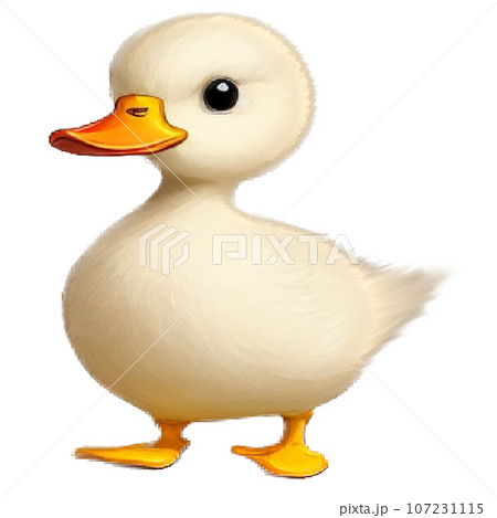 duck duck 107231115