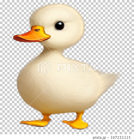 duck duck 107231115