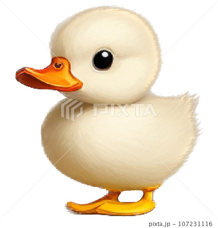 duck 107231116