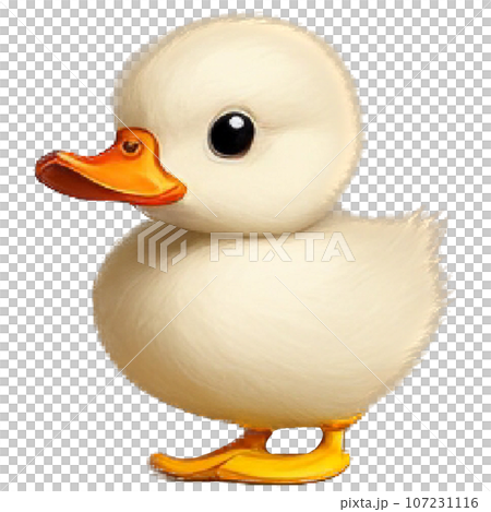 duck 107231116