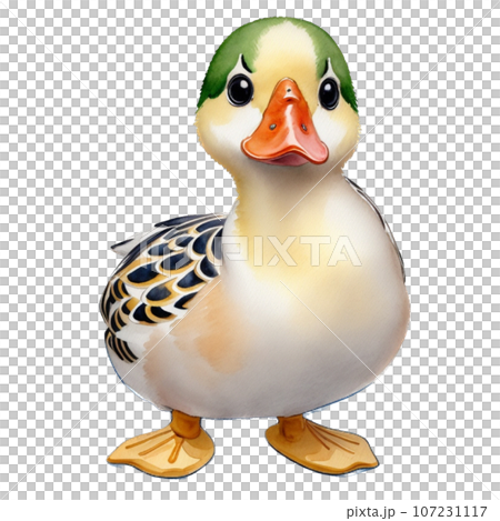 duck 107231117