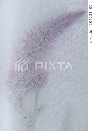 和紙とケイトウ（鶏頭）の背景素材 107231400