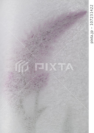 和紙とケイトウ（鶏頭）の背景素材 107231422