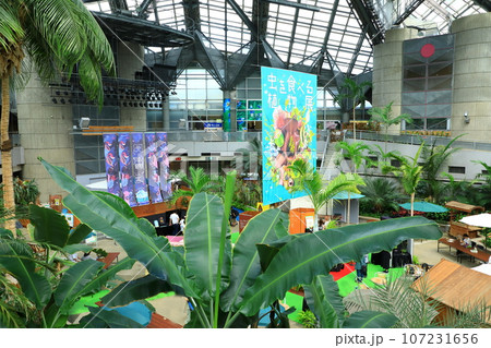 鶴見緑地公園　咲くやこの花館 107231656