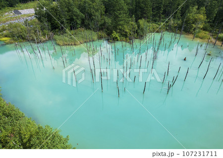 北海道 美瑛の「白金青い池」を空撮 北海道 美瑛の「白金青い池」を空撮 107231711